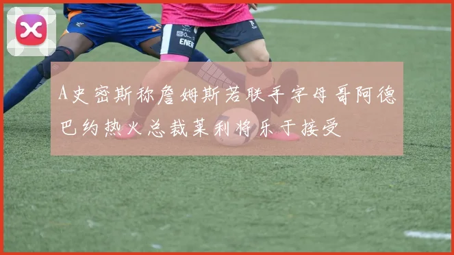 A史密斯称詹姆斯若联手字母哥阿德巴约热火总裁莱利将乐于接受